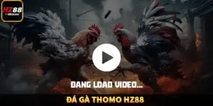 Đá Gà Thomo HZ88