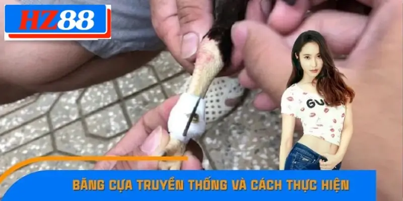 Băng Cựa Truyền Thống Và Cách Thực Hiện Tại 789F 7 Băng Cựa Truyền Thống Và Cách Thực Hiện