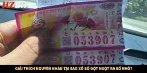 Giải Thích Nguyên Nhân Tại Sao Xổ Số Đột Ngột Ra Số Nhỏ? 