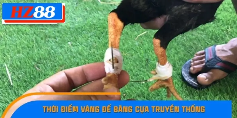 Thời điểm vàng để băng cựa truyền thống Thời điểm vàng để băng cựa truyền thống