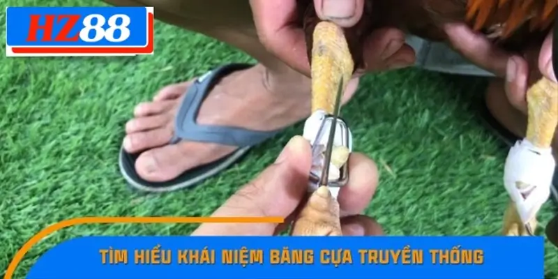 Tìm hiểu khái niệm băng cựa truyền thống Tìm hiểu khái niệm băng cựa truyền thống