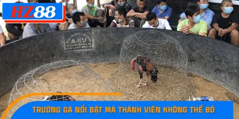 Trường gà Komphong Cham Trường gà Komphong Cham