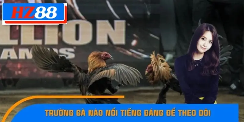 Trường Gà Nào Nổi Tiếng Đáng Để Theo Dõi Tại HZ88 7 Trường Gà Nào Nổi Tiếng Đáng Để Theo Dõi
