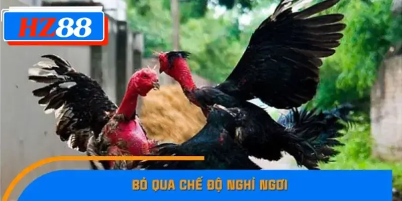 Bỏ qua chế độ nghỉ ngơi Bỏ qua chế độ nghỉ ngơi