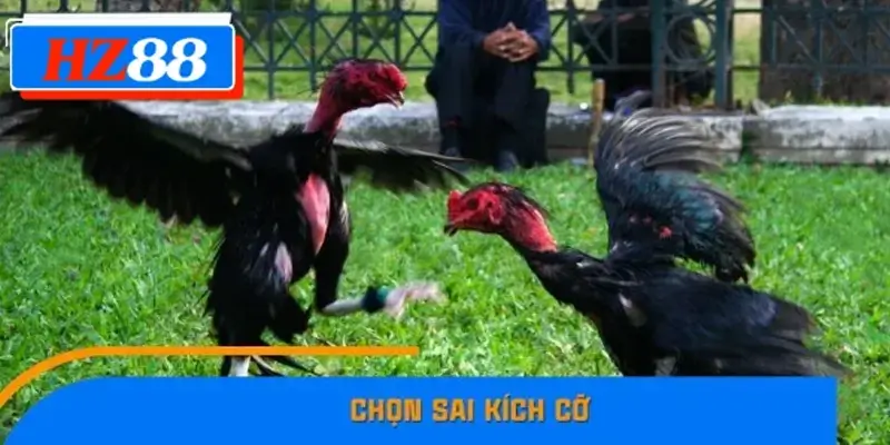 Chọn sai kích cỡ Chọn sai kích cỡ