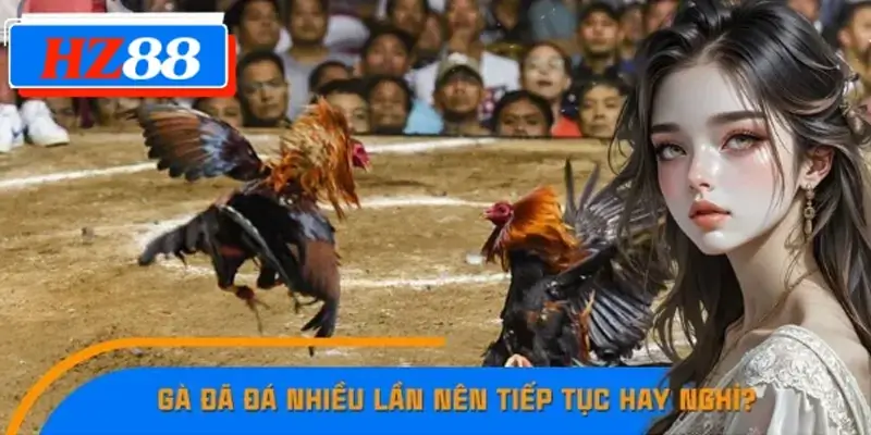 Gà Đã Đá Nhiều Lần Nên Tiếp Tục Hay Nghỉ Bí Kíp Cao Thủ 789F 7 Gà Đã Đá Nhiều Lần Nên Tiếp Tục Hay Nghỉ Bí Kíp Cao Thủ 789F