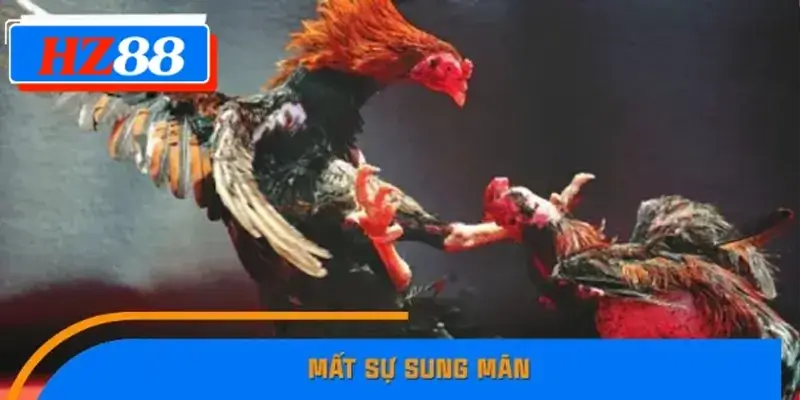 Mất sự sung mãn Mất sự sung mãn