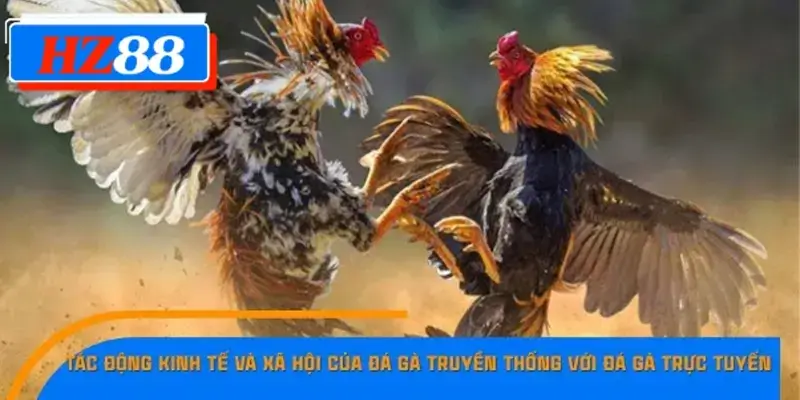 Tác động kinh tế và xã hội của đá gà truyền thống với đá gà trực tuyến Tác động kinh tế và xã hội của đá gà truyền thống với đá gà trực tuyến