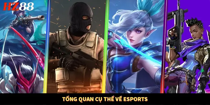 Tổng quan cụ thể về eSports Tổng quan cụ thể về eSports